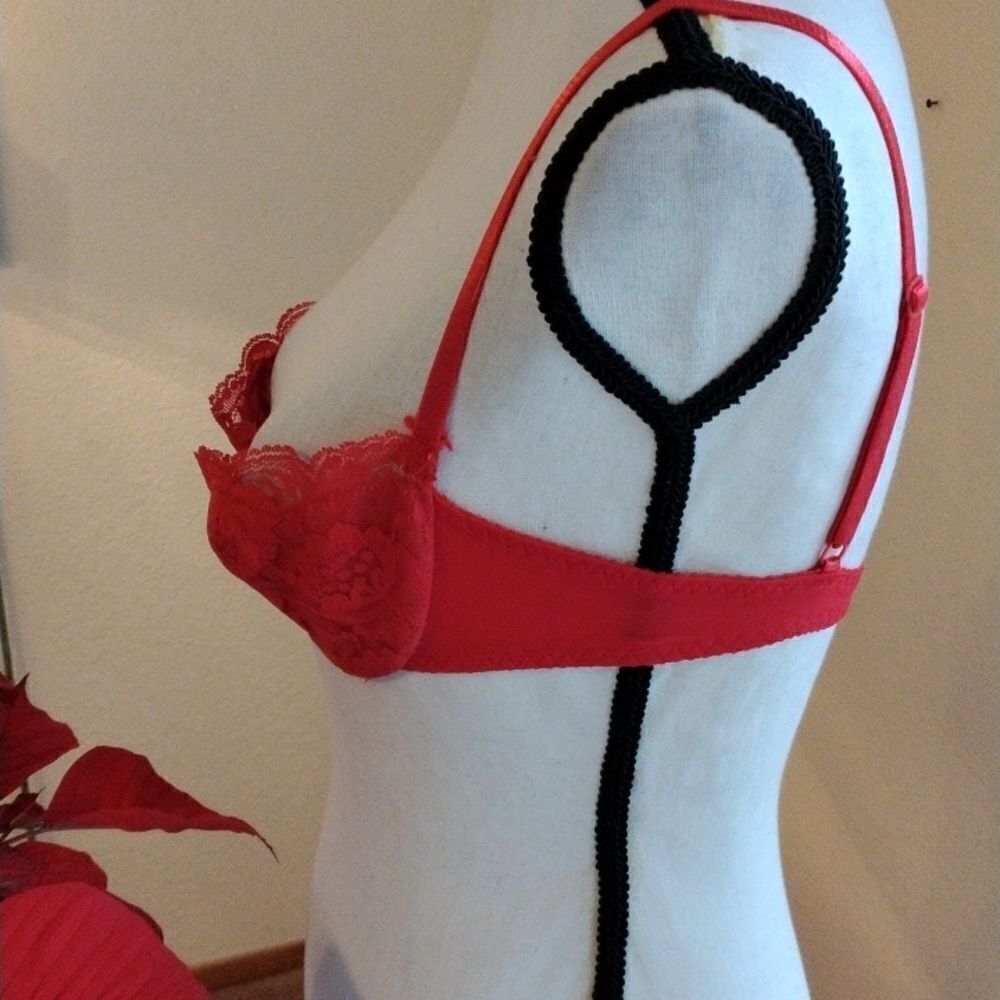 Red Lace Bra - Picture 3 of 7
